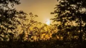 Zachód słońca Pierkunowski Róg - zdjęcie 2