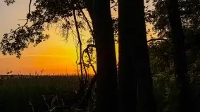 Zachód słońca Pierkunowski Róg - zdjęcie 53