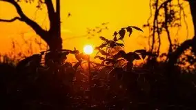 Zachód słońca Pierkunowski Róg - zdjęcie 13