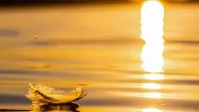 Zachód słońca nad jeziorem Gołdopiwo - zdjęcie 26