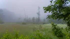 Mazurski poranek we mgle - zdjęcie 10