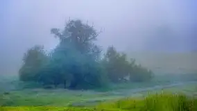 Mazurski poranek we mgle - zdjęcie 13