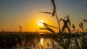 Zachód słońca, Skłodowo i jezioro Mamry - zdjęcie 5