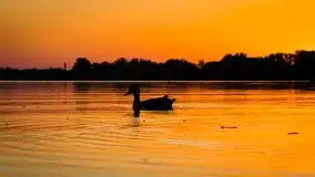 Czerwcowe Mazury na zdjęciach Stanisława Sielewicza - zdjęcie 17