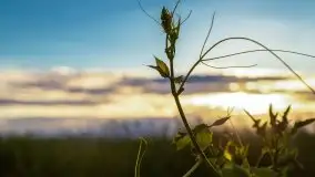 Zachód słońca, plaża Bogacko, jezioro Dejguny - zdjęcie 14