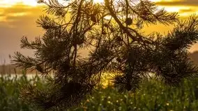 Zachód słońca, plaża Bogacko, jezioro Dejguny - zdjęcie 11