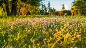 Zachód słońca, plaża Bogacko, jezioro Dejguny - zdjęcie 41