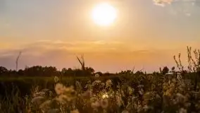 Zachód Słońca nad kanałem Jeglińskim - zdjęcie 19