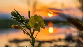 Zachód Słońca nad kanałem Jeglińskim - zdjęcie 34