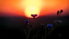 Miłośnicy Mazur - fotografie Stanisława Sielewicza - zdjęcie 27