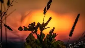 Miłośnicy Mazur - fotografie Stanisława Sielewicza - zdjęcie 23