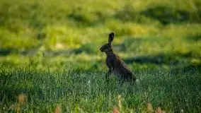 Miłośnicy Mazur - fotografie Stanisława Sielewicza - zdjęcie 4