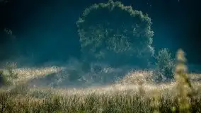 Miłośnicy Mazur - fotografie Stanisława Sielewicza - zdjęcie 1