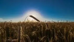 Zachody słońca na Mazurach, lipiec 2020 - zdjęcie 39