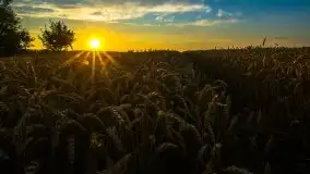 Lipcowe Mazury według Staszka Sielewicza - zdjęcie 16