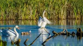 Lipcowe Mazury według Staszka Sielewicza - zdjęcie 26