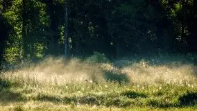 Lipcowe Mazury według Staszka Sielewicza - zdjęcie 36