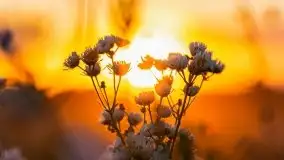 Zachód słońca w Wilkaskach - zdjęcie 12