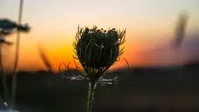 Zachód słońca w Wilkaskach - zdjęcie 10