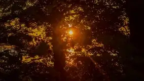 Zachód słońca nad jeziorami Dargin i Skarż Wielki - zdjęcie 13