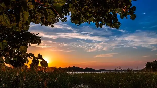 Jezioro Ryńskie, Zatoka Mrówcza