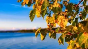 Zachód słońca nad jeziorem Dargin - zdjęcie 47