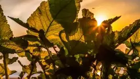 Zachód słońca nad jeziorem Dargin - zdjęcie 54