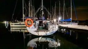 Nocne Tło Dla Mew, wrzesień 2020 r. - zdjęcie 8