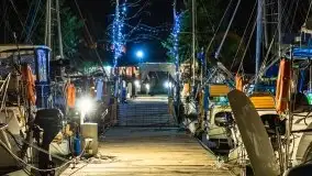 Nocne Tło Dla Mew, wrzesień 2020 r. - zdjęcie 3