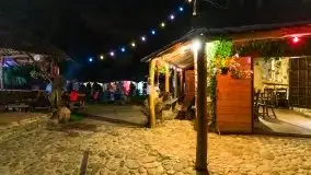 Nocne Tło Dla Mew, wrzesień 2020 r. - zdjęcie 35