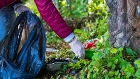 Sprzątanie Świata (Mazur) przez Rotarack Giżycko i Giżycką Grupę Regatową - zdjęcie 37