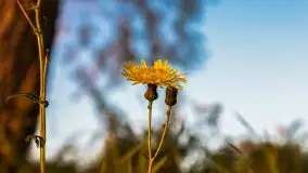 Zachód słońca nad jeziorem Niegocin - zdjęcie 27