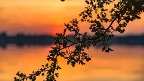 Zachód słońca nad jeziorem Tajty, wrzesień 2020 r. - zdjęcie 6