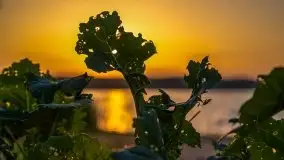 Październikowy wschód słońca nad jeziorem Kruklin - zdjęcie 24