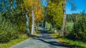 W poszukiwaniu jesieni na Mazurach - zdjęcie 25