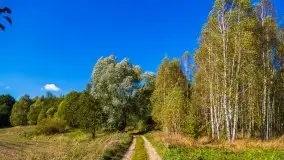 W poszukiwaniu jesieni na Mazurach - zdjęcie 8