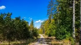 W poszukiwaniu jesieni na Mazurach - zdjęcie 50