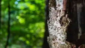 W poszukiwaniu jesieni na Mazurach - zdjęcie 33