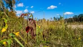 W poszukiwaniu jesieni na Mazurach - zdjęcie 53