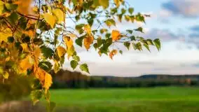 W poszukiwaniu jesieni na Mazurach - zdjęcie 46