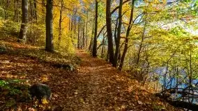 Piękna polska, mazurska złota jesień... rok temu - zdjęcie 7