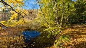 Piękna polska, mazurska złota jesień... rok temu - zdjęcie 4