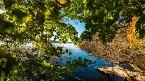 Piękna polska, mazurska złota jesień... rok temu - zdjęcie 25