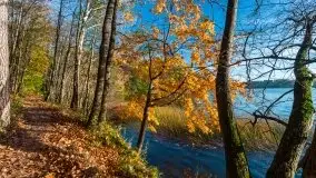 Piękna polska, mazurska złota jesień... rok temu - zdjęcie 26