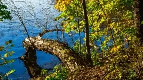 Piękna polska, mazurska złota jesień... rok temu - zdjęcie 29