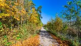 Jesień na mazurskich bezdrożach, 2019 - zdjęcie 7