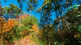 Jesień na mazurskich bezdrożach, 2019 - zdjęcie 10