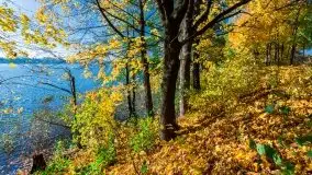 Jesień na mazurskich bezdrożach, 2019 - zdjęcie 9