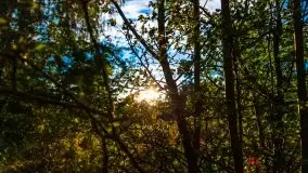 Zachód słońca widziany w zaroślach nad Niegocinem - zdjęcie 2