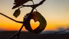 Wieczór i zachód słońca z mazurskiej drogi - zdjęcie 17